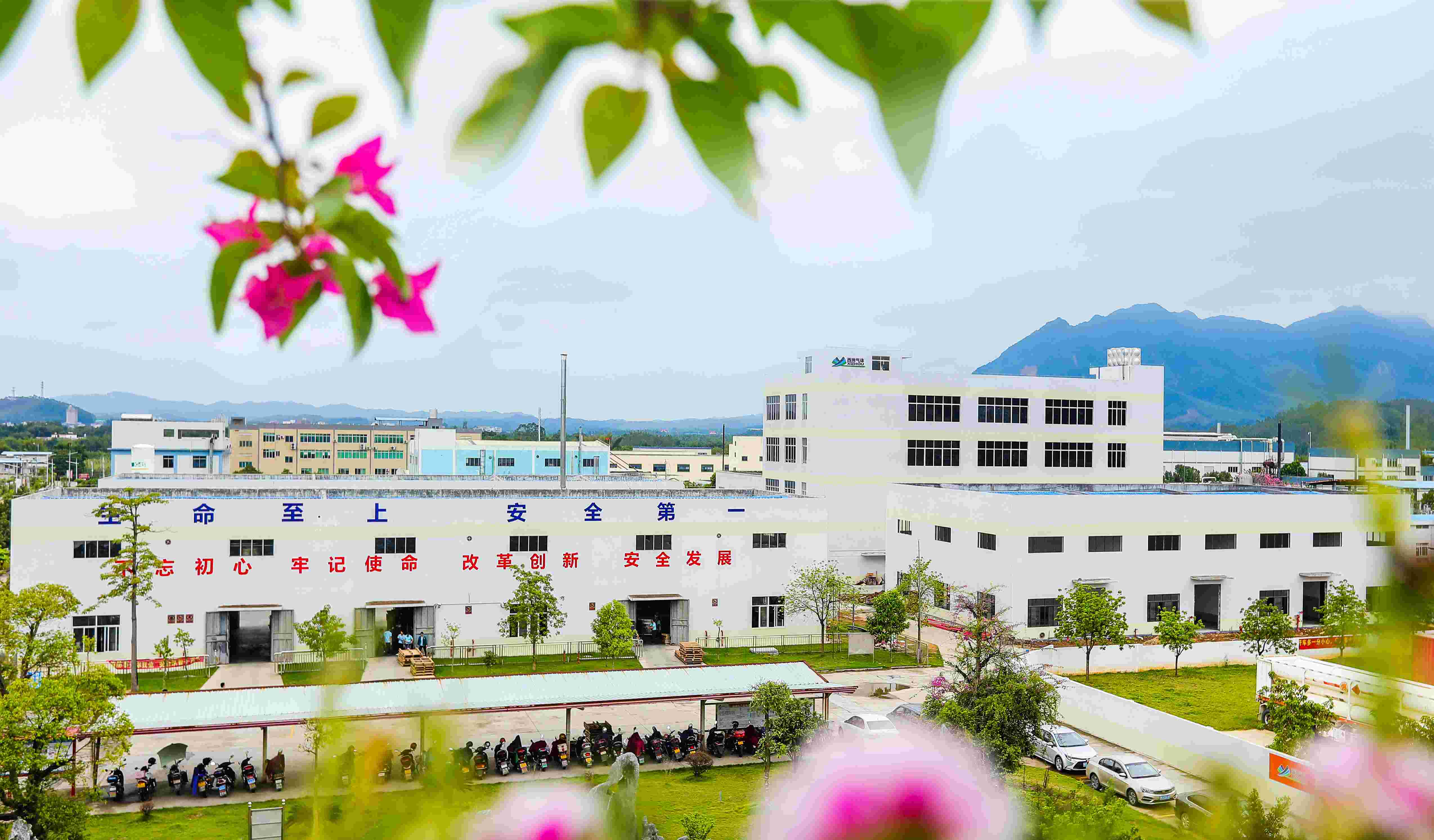 云顶集团app厂家