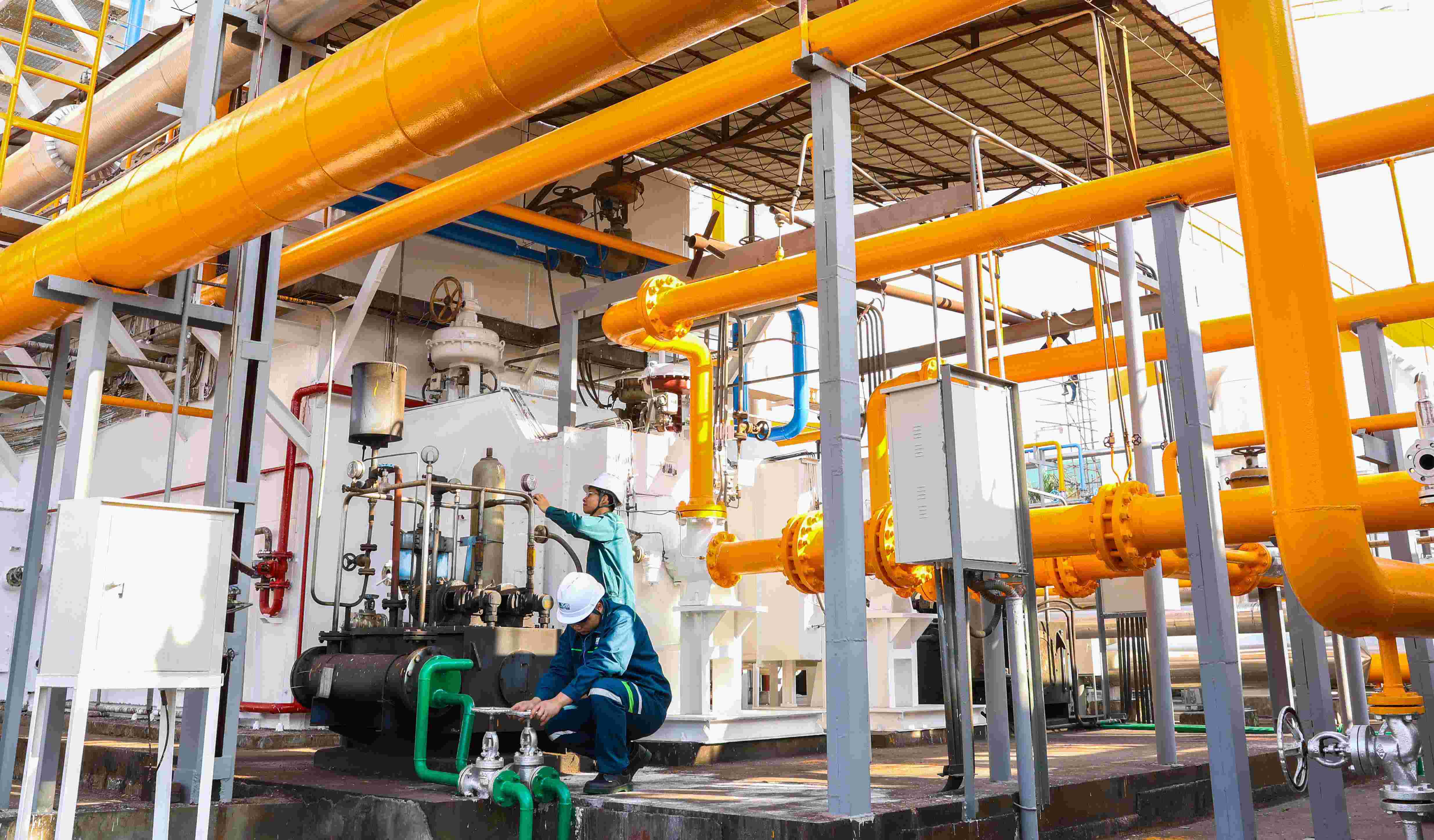 云顶集团app厂家